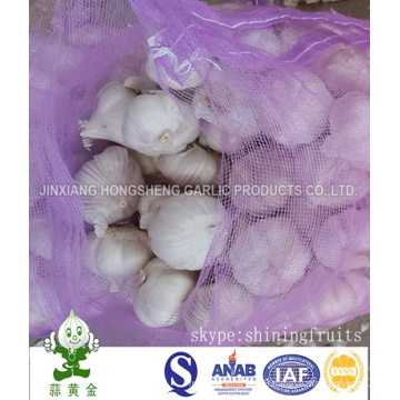 Chinese Normal White Garlic 5cm in Mesh Bag Packing